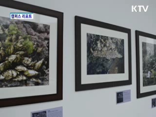 독도의 자연전 [캠퍼스 리포트]