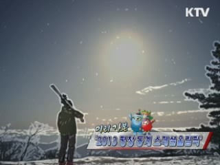 2013 평창 동계 스페셜 올림픽