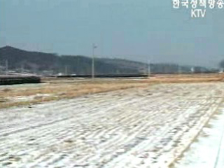 인삼의 고장, 금산