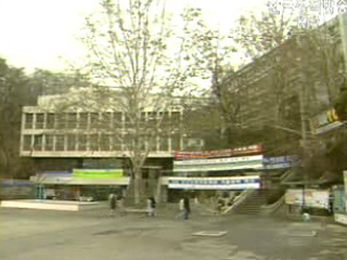 국립대 혁신, 다양한 노력 불고 `체질화 미흡`