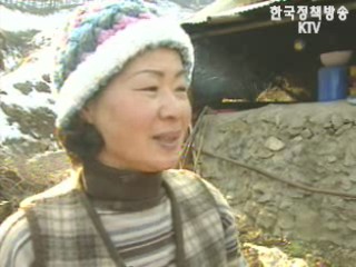 산골마을 지킴이