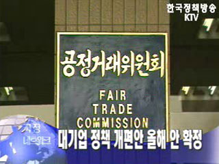 대기업 정책 개편안 올해 안 확정