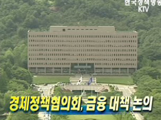 경제정책협의회, 금융 대책 논의