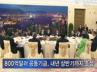 'ASEAN+3', 연내 금융 정상회담 개최