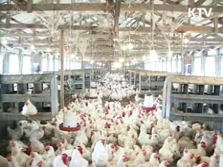 한·EU FTA 농축산 분야 피해 최소화