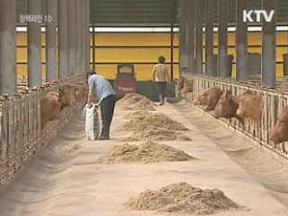 지난해 농어가 소득·부채 모두 상승