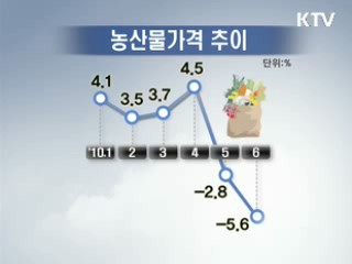 소비자물가 5개월째 2%대 안정세