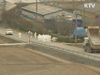 설 전까지 예방접종 완료