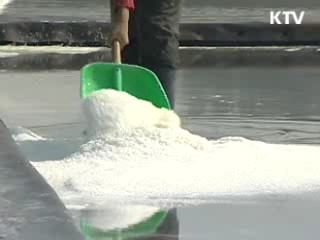 오늘부터 소금 원산지표시 본격 단속