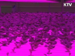 전국 도심텃밭·주말농장 등 8천곳 조성