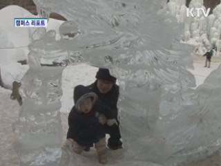 알프스마을 얼음분수축제 '북적'