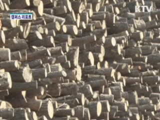 "고유가 시대 '펠릿'이 효자다"