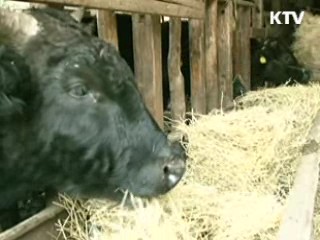 "美 답변서 도착···조사단 파견 적극 검토"