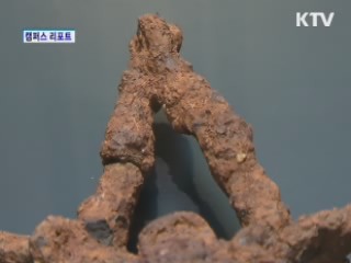 창원 유적·유물 특별전