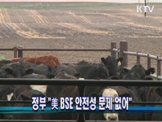 정부 "美 BSE 안전성 문제 없어"