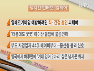 실시간 인터넷 검색어