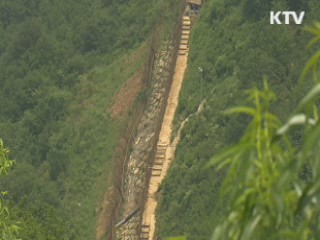 DMZ 60년 재조명…두루미 '깃대종' 선정