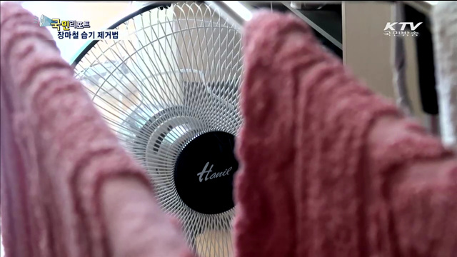 곰팡이의 주범 습기를 잡아라