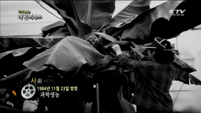 다시보는 대한늬우스 (84.11.23)