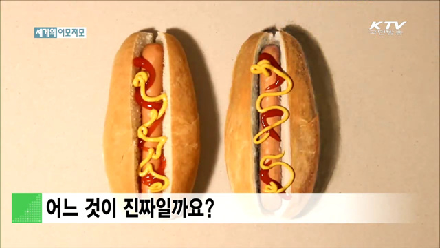 어느 것이 진짜일까요? [세계 이모저모]