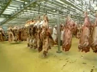 박 농림 `미 쇠고기 수입, FTA와 별개`