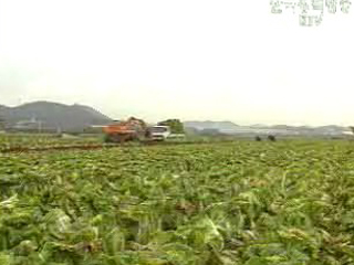 농가인구 29.1%가 65세 이상