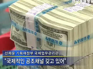 외환보유액, 위기 방지한 일등공신