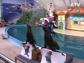 새봄 동물들도 기지개