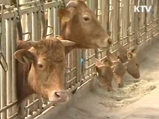 "불필요한 보조금 폐지, 경쟁력 강화"