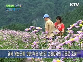 산림청 '국립백두대간 고산수목원' 조성