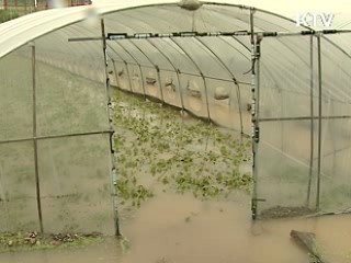 특별재난지역 건강보험료 최대 50% 경감