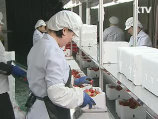 농산물 우수관리시설 지원사업 확대