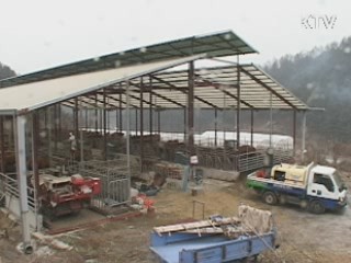 이번 주말 이후 백신효과 기대