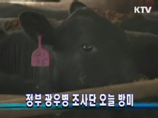 정부 광우병 조사단 오늘 방미