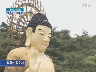 여름휴가지 (1) 충북 보은 [캠퍼스 리포트]