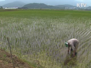 이번 달 평년 강수량 회복…곧 찜통더위