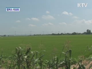 평택 바람새마을 '인기' [캠퍼스 리포트]