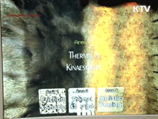 모니터 속 물체, '마우스'로 느낀다