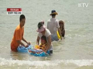 청정해역 '거제'로 오세요 [국민리포트]