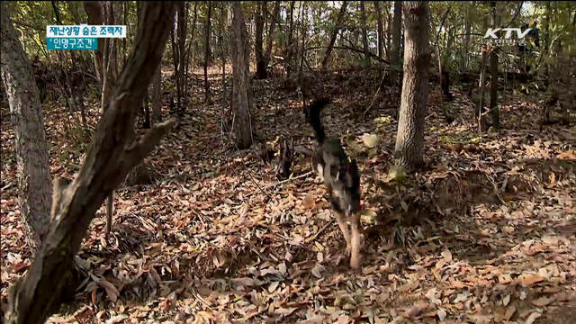 재난상황 발생시 숨은 조력자 '인명구조견'