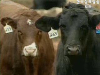 부시 `한국 쇠고기 개방, 美 주요 외교정책`
