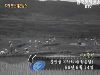 풍연을 기약하며, 권농일('66)