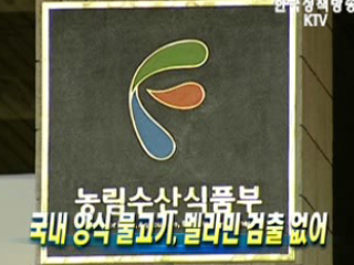 국내 양식 물고기, 멜라민 검출 없어