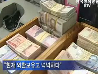 정부, '외환보유액 충분하다'