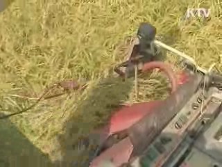 연말부터 쌀 품질 등급제 의무화