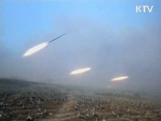 2010 국방백서 "북한군 비대칭 전력 증강"