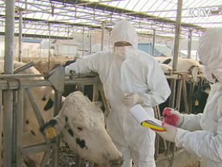 발생지역 확대···광역 백신 접종