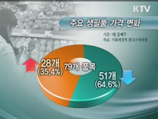 전방위 대책에 물가상승 '주춤'