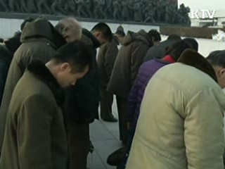 김정일 시신 영구보존 가능성 크다