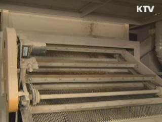 김장물가 비상…정부 합동대책반 가동